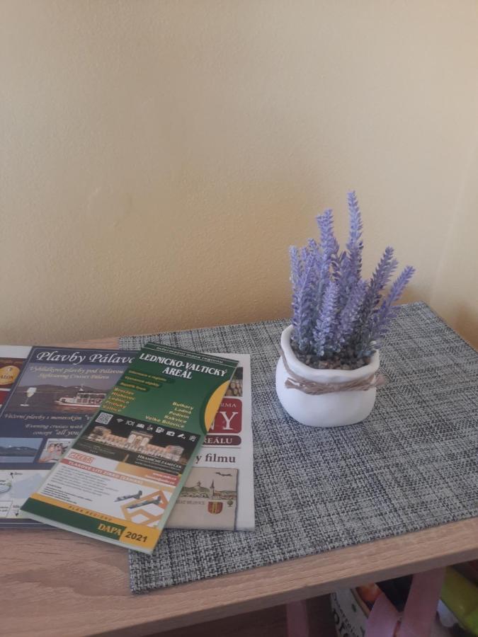 Apartman Sandra Valtice Εξωτερικό φωτογραφία