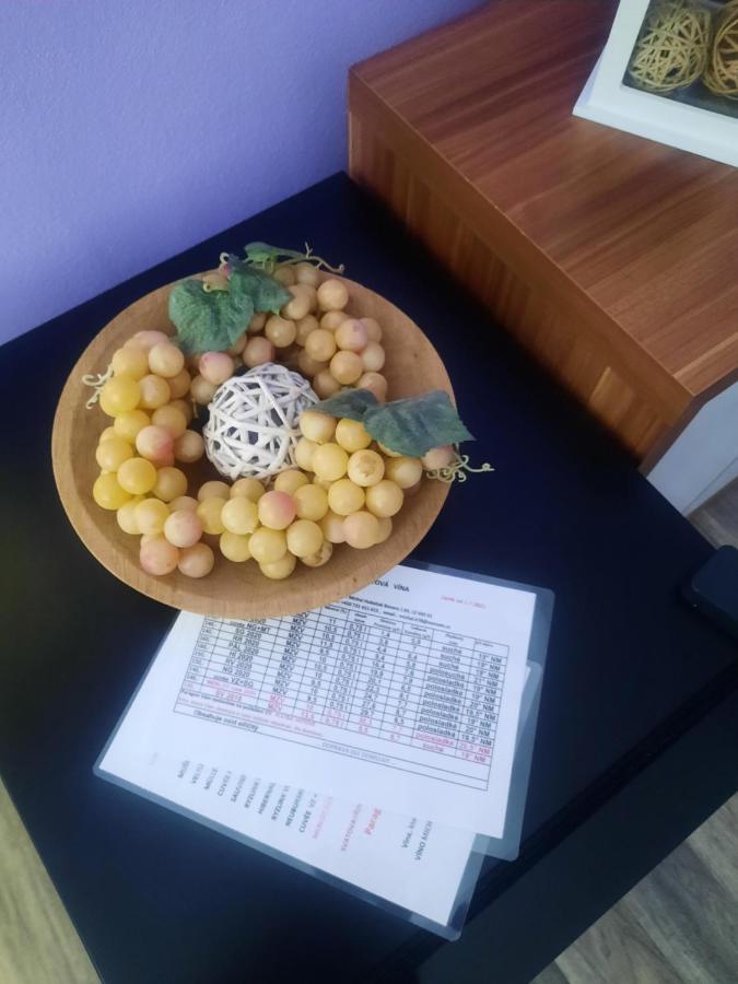 Apartman Sandra Valtice Εξωτερικό φωτογραφία